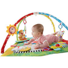 Tapis d'Apprentissage Peluche 3m+ - Fisher Price Tapis d'Apprentissage Peluche 3m+ - Fisher Price
