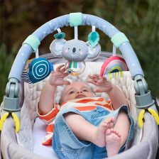 Arche bébé Koala - Taf Toys Arche bébé Koala - Taf Toys