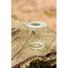 Explorateur d'insectes 8+ - Buki Explorateur d'insectes 8+ - Buki